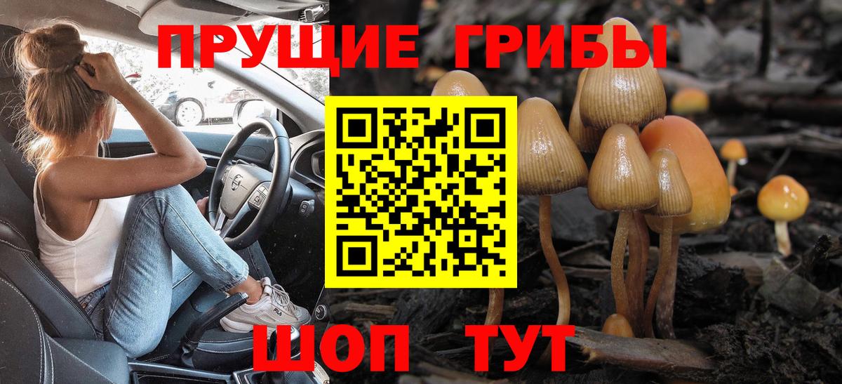 Семилуки  Псилоцибиновые грибы Cubensis  Вход с VPN 